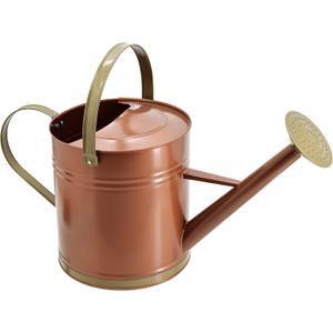 Classic Shiny Galvanized Metal Watering Can, Easy-Pour, Indoor and Outdoor, 2.6 gal, Shiny Galvanized Metal
