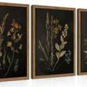 Framed Dark Botanical Wall Art Set of 3, Black Moody Floral Wall Decor Paintings, Dark Academia Decor, Vintage Flower Artwork Prints Pictures for Living Room Bedroom Bathroom 12x16 Inch, 16L" x 12W"