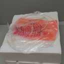 22" Black Ceramic Farmhouse Table Lamp with Ginger Jar Design - for Living Room,Dining Room,Bedroom,Office,Nightstand,End Table