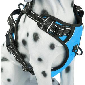 PoyPet No Pull Dog Harness, Reflective Comfortable Vest Harness with Front & Back 2 Leash Attachments and Easy Control Handle Adjustable Soft Padded Pet Vest for Dogs (Blue,Large)