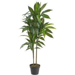 Nearly Natural 48in Artificial Dracaena with Real Touch Leaves and Multi Tonal Trunks, Large Indoor Silk Plant with Pot, Maintenance Free for Indoor Living Room and Home Office Decor
