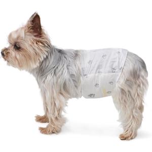Amazon Basics Super Absorbent Male Dog Diapers, Leak-Proof Disposable Wrap with Wetness Indicator, Secure Fit, Breathable, X-Small, 30 Count