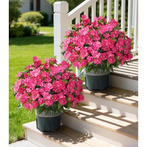 Artificial Flowers for Outdoors, 2 Set Fake Potted Flowers 12 Bundles UV Resistant Realistic Silk Faux Impatiens with Pot for Outside Balcony Garden Window Box, Rose