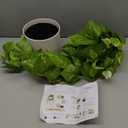 ROVALA Silk Plants for Home Decor Indoor in Pot Realistic Artificial Plants Fake Hanging Plants Faux Plants Indoor Fake Potted Plants Fake Plants for Shelves Bathroom Plants, Fake Pothos (Light Green)