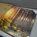 KREATIVE ARTS Silent Forest in Spring with Beautiful Bright Sun Rays Canvas Prints Morning Scene Landscape Painting Giclee Art Work Long Pictures for Wall Decorations 20x48in