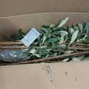 Olive Trees Artificial Indoor,Fake Olive Tree 6FT Tall 1Pack with White Planter Faux Silk Olive Tree for Home Living Room Office Decor Faux Artificial Plants Indoor with Fruit & Free Moss