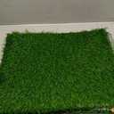 LOOBANI Dog Grass Pad with Tray - Dog Litter Box - Indoor Potty for Apartment and Patio Training - with 2 Packs Grass Pee Pads for Replacement, 1620 Inch