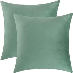 Jeneoo Set of 2 Comfy Soft Velvet Throw Pillow Covers for Sofa Couch Decorative Square Cushion Cases for Bedroom Car (20 x 20 Inches, Sage Green)