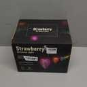 Brightown Accessory C9 LED Christmas Lights, 16Ft Outdoor String Lights with 25 LED Strawberry Plastic Bulbs, Without Plug, Extension Cord, 2 Pack