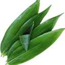 fresh banana leaves(100 pcs, 13"" L x 3.2"" W) Fresh Banana Leaves for Cooking bamboo leaves suit Sushi making, Zongzi, Chinese dinner, hot pot leaf decoration, Green