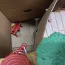 Calico Critters Dollhouse Series Adventure Treehouse 2025 Edition | Vacation Dollhouse Toy | Ages 3+, Dollhouse Gift Set