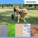 Dog Wheelchair for Back Legs, Light Weight Dog & Cat & Pets Wheelchair Cart with Disabled Hind Legs Walking, Adjustable Doggy Wheelchair Cart with Wheels for Back Legs (Grey, XXL)