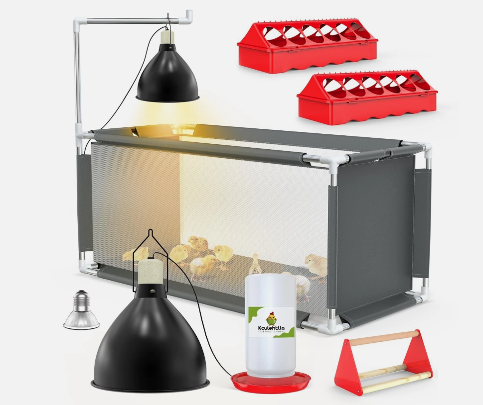 10.6 ft³ Chicken Brooder Box Starter Kit – Durable Stainless Steel Fr