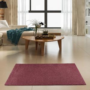 Bright House Solid Color Area Rugs Cranberry - 2' x 3' Rectangle, Indoor, Stain & Fade Resistant, Perfect for Living Room, Bedroom, Dining Room, Entryway, Doorway, Pet & Kids Friendly Rug, Wedding
