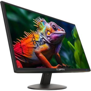 Sceptre 24-inch Professional Thin 1080p LED Monitor 99% sRGB 2x HDMI VGA Build-in Speakers, Machine Black (E248W-19203R Series)