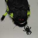 Halloween Skull Spider Scary Spiders Decorations Colorful Hairy for Halloweens Outdoor Yard Party (75CM)