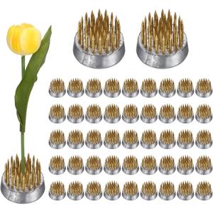 M METERXITY 12-Pack Flower Frog 0.9" Round Brass Flower Pins Flower Frog Holder Flower Arranger Fixed Tools Floral Frog for Arrangements Vase/Plant Decoration/Home Decor [1.1cm Pins]