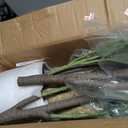 Artificial Fiddle Leaf Fig Tree 6FT