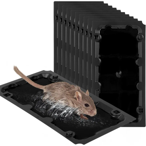 10 Pack Sticky Mouse Trap Rat Trap Indoor, Peanut Taste Pheromone Mouse Traps Indoor for Home, Glue Sticky Traps for Mice and Rats, Snake (Large Size)