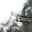 Trademark Art One Way Canvas Art by Yale Gurney, 18 by 24-Inch