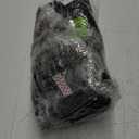 Lee Women's Regular Fit Chino Walkshort 10 Medium