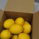 dallisten 12PCS Artificial Lemons  Lifelike Fake Yellow Lemons for Kitchen Decor, Fruit Bowl, Lemonade Party, Photo Props & Summer Table Decorations  Realistic Faux Fruit for Home & Events