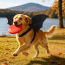 Halloween Dog Bat Wings Costume - Pet Costume for Party Puppy Apparel for Small Medium Large Dogs Funny Doggy Cosplay Dress Up Accessories L-XL