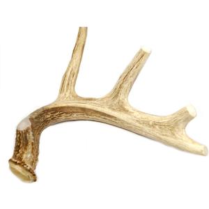 Extra Large Whole Deer Antler Dog Chew - for Large Dogs and Puppies