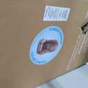 Graco Tranzitions 3-in-1 Harness Booster Car Seat, Forward Facing Car Seat, Highback, to Backless Booster, Cinder, Mfd: 06/06/2026