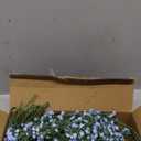 Babys Breath Artificial Flowers,12 Pcs Gypsophila Real Touch Flowers for Wedding Party Home Garden Decoration Blue