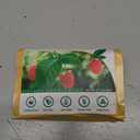 Raspberry Leaf Tea - 40 Teabags,Caffeine-Free, Mild & Herbal Taste (EXP 10/21/27)