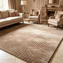 Brown Solid Area Rug 5x7, Washable Living Room Rug, Ultra Soft Indoor Rugs for Bedroom, Modern Geometric Boho Pattern High-Low Textured Carpet for House Apartment, Home Office Decor