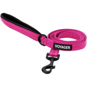 Best Pet Supplies Voyager Reflective Dog Leash or Collar with Neoprene Handle, for Small, Medium, and Large Breed Puppies, Cute and Heavy Duty for Walking, Running and Training - Fuchsia Leash, L (Leash (1" x 6 ft))