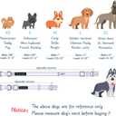 Maca Bates Rabbit Foot Dog Collar with Sailor Bow Tie for Large Girl Boy Dogs, Pink Bunny Pattern,Adjustable Durable Soft Breakaway Collars Easter Day Gift for Male Female Puppy