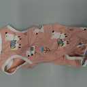 2 Pack Cat Spay Recovery Suit Female, Breathable Cat Onesie for Cats After Surgery Female, Kitten Surgery Recovery Suit for Abdominal Wounds (Medium, Alpaca + Dinosaur)