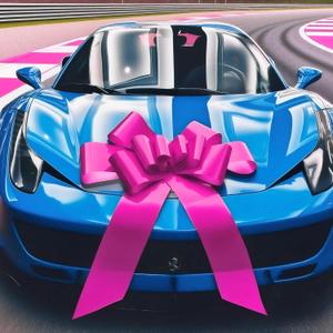 GYDbow 30 Inch Giant rosy Car Bow: Extra Large Pull Bow for New Car Gift, Graduation, Birthday Surprise, Big Rosy Bow Accessories for Vehicle Decor