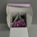 COCORRNA Reed Diffuser - Lavender Garden 6.7 Fl.oz Reed Diffuser Set with Sticks & Preserved Baby's Breath, Reed Diffuser for Home Bathroom Shelf Decor