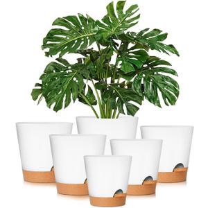 GARDIFE Plant Pots 8/7/6.5/6/5.5/5 Inch Self Watering Planters with Drainage Hole, Plastic Flower Pots, Nursery Planting Pot for All House Plants, African Violet, Flowers, and Cactus,White