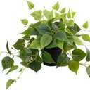 LOYWREE Fake Plants Artificial Scindapsus Aureus in Pots, Realistic Fake Greenery Potted Plants for Home Office Desk Window Sill Bathroom Bedroom Outdoor Indoor - Black Pot