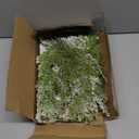 6 Pack Snowy Artificial Cedar Picks Stems Frosted Faux Cedar Spray Christmas Cedar Greenery Branches for Holiday Season Floral Arrangement Centerpiece Winter Wedding Decorations 20" Tall