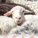 100% Merino Wool Base Layer Mens, Soft Thermals Underwear, Top and Bottom SetWarm Long Johns Sets for Winter (S-2XL) (Black, M)