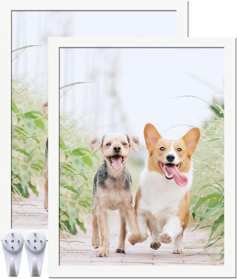 17x22 Picture Frame Set of 2, White Photo Frames High Transparent Wall Gallery Desktop Horizontal Vertical for Canvas Collage Photo Poster Certificate 17 x 22 inches