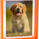 Gelite Acrylic 11X14 Picture Frame to Display 11x14 8x10 8.5x11 9x12 Pictures Mat-free Neon Floating Photo Frame for Wall and Tabletop, Neon Orange
