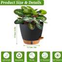 2 Pack 8 Inch Pots for Plants Indoor, Plastic Self Watering Planters with Drainage Holes, Water Level Indicator & Deep Reservoir, Decorative Flower Pots Indoor Outdoor Use (Black