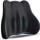 kasney Lumbar Support Pillow, Memory Foam Lumbar Pillow for Lower Back Pain Relief, Back Support Pillow for Office Chair, Car Seat - Black