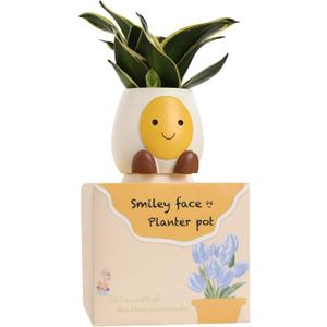 Abofth Fun Planters for Indoor Plants  Cute Plant Pots with Drainage and Tray, Unique Smiley Face Planter, Small Flower Pot Gifts for Plant Lovers, Office Home Decoration