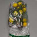 4Pcs Artificial Lemons Branch, 19 Inch Vivid Yellow Fake Lemons Branch with Green Leaf and Adjustable Branch, Lemon Decor for Home Kitchen, Graden, Office Desk, Party Summer Decorations