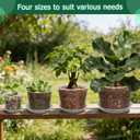 4/6/8/10 Inch Clear Nursery Pots with Drainage and Saucers, 24 Pack Clear Plant Pots, Variety Size Plastic Orchid Flower Pot for Indoor Outdoor
