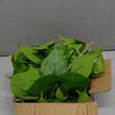 Mkono Fake Hanging Plants, 2pcs Artificial Plants for Home Decor Indoor Fake Vines Greenery for Bedroom Wall Living Room Bathroom Kitchen Office Christmas Decor, Pothos(No Flowerpot)