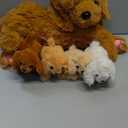 HyDren Nurturing Dog Stuffed Animal Sets Soft Cuddly Nursing Mommy Dog with 4 Stuffed Puppies for Birthday Party Favor Gifts(Golden Retriever)